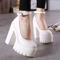 Woman Thick High Heels Shoes Ladies Sexy Platform Pumps Goth