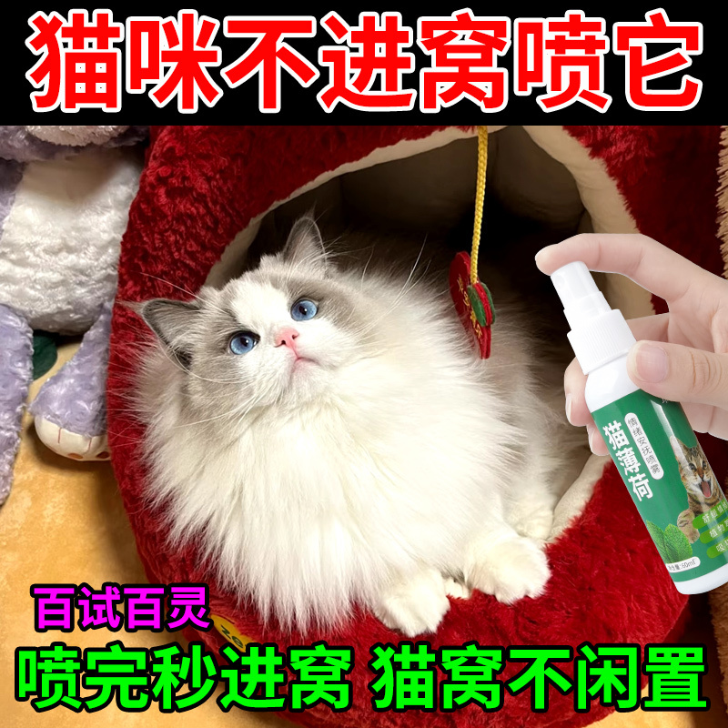 Catnip Spray to Induce Cats to Sleep in Their Nest, a Special Nest-Attracting Spray for Kittens