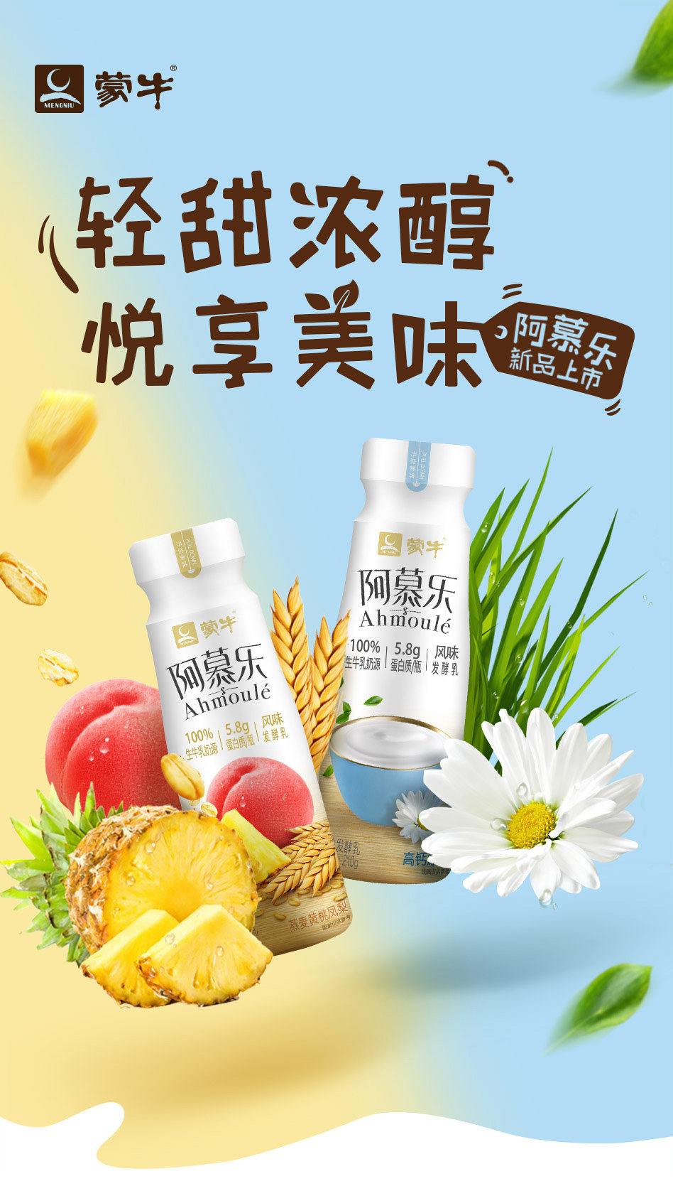 安享好物 安享B级酸奶-蒙牛阿慕乐酸奶 国标