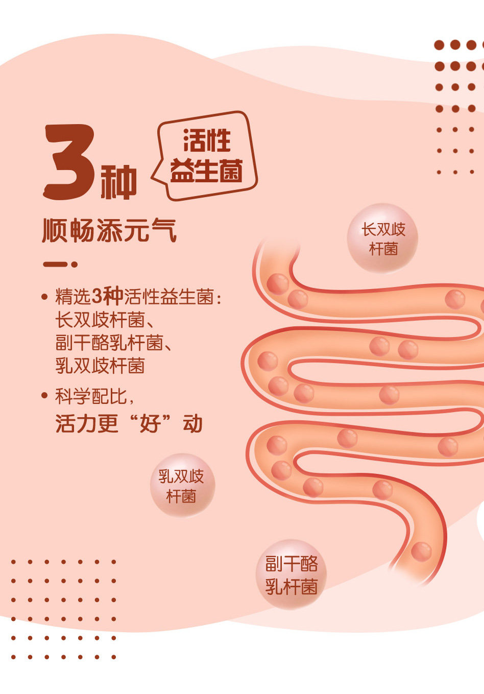 安享好物 安享B级酸奶-蒙牛阿慕乐酸奶 国标