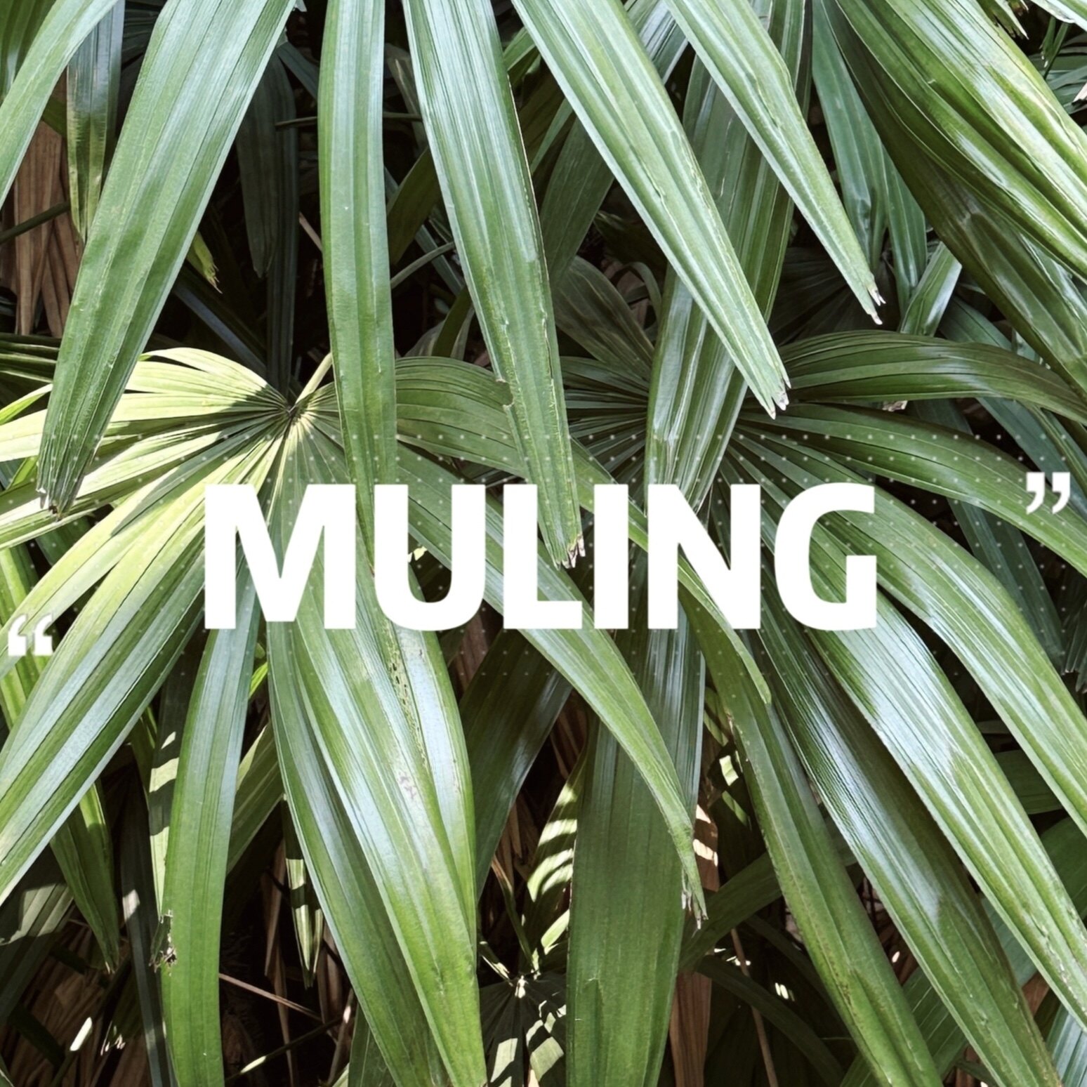 MULING的LOGO