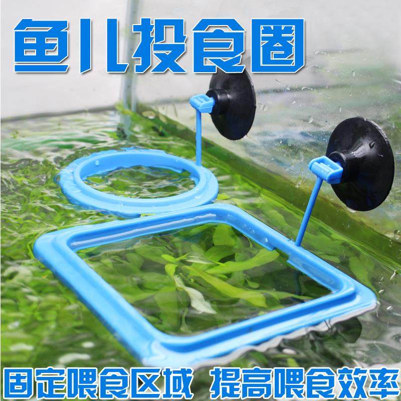 Fish farming sea tank with freshwater special feeding circle aquarium fish tank feeding circle feeding floating box feeder fish food
