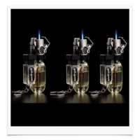 Прозрачный- [3 Установленные визуальные аэрозольные пистолеты 3]