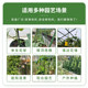 ປີນ pergola ດອກຢືນແຕງພືດຫມາກຖົ່ວ melon ຫມາກ grape shelf ສວນຜັກ courtyard ວົງເລັບສະຫນັບສະຫນູນ rod