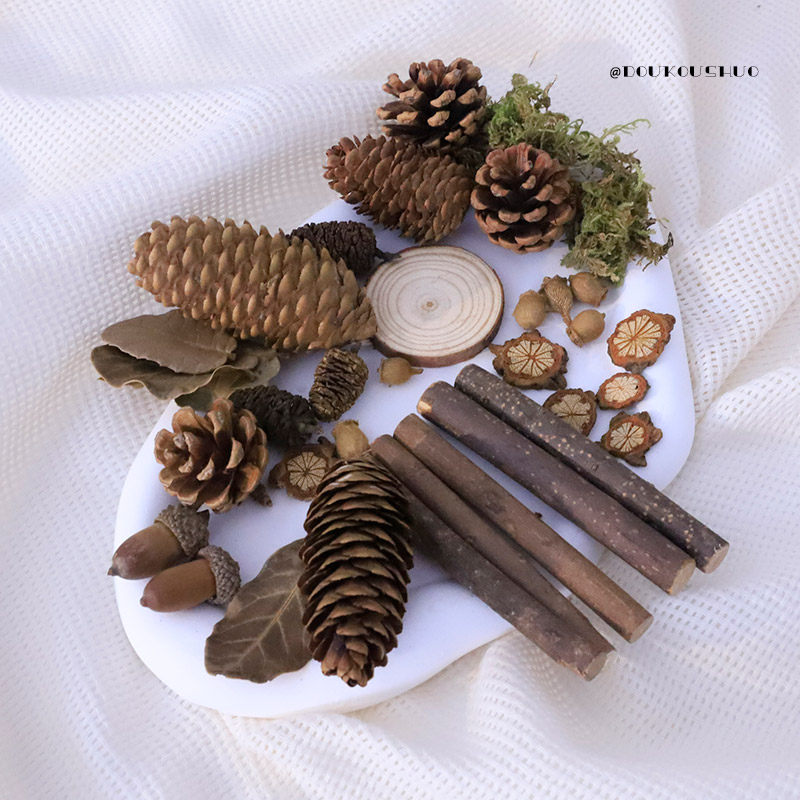 ins forest retro natural dry fruit dry flower suit pine nut leaf wood block photo props photography background decoration small objects children shooting pendulum swatter with direct sowing room scene atmosphere arrangement-Taobao