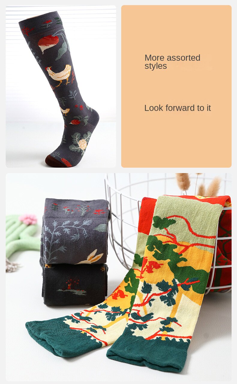 Носки medium and high tube calf and knee socks french ins style re Aishang