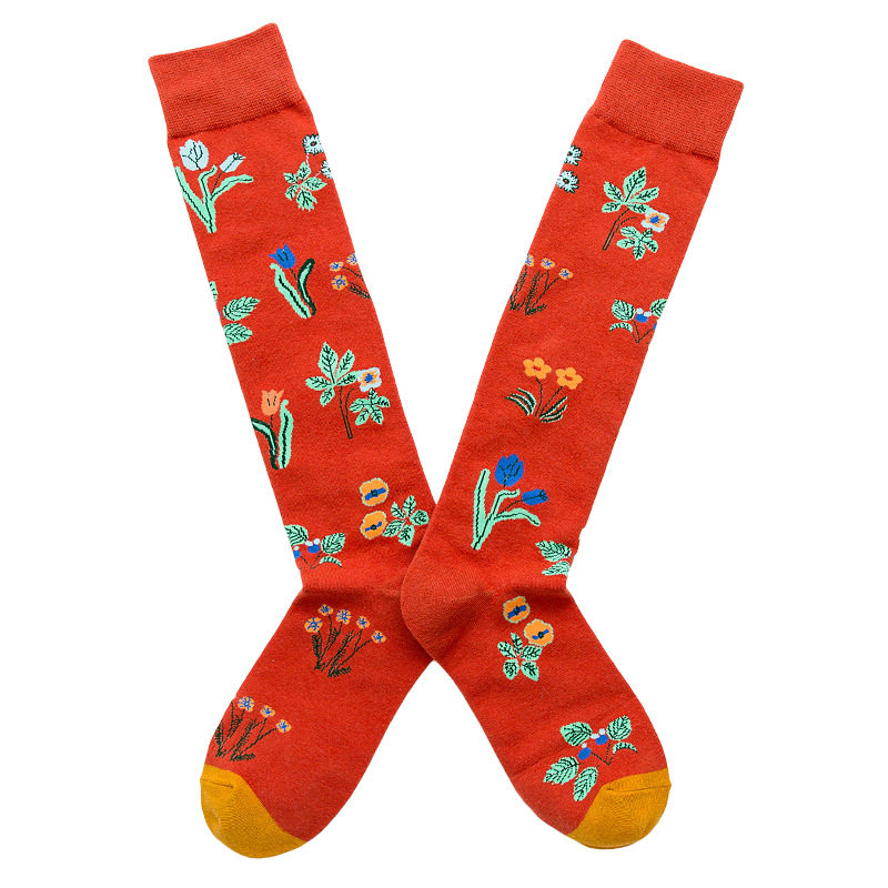 Носки medium and high tube calf and knee socks french ins style re Aishang