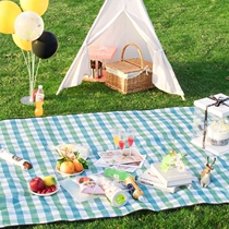 Picnic mat moisture-proof pitch pitch outskirts picnic cloth camping lawn mat beach mat without grass