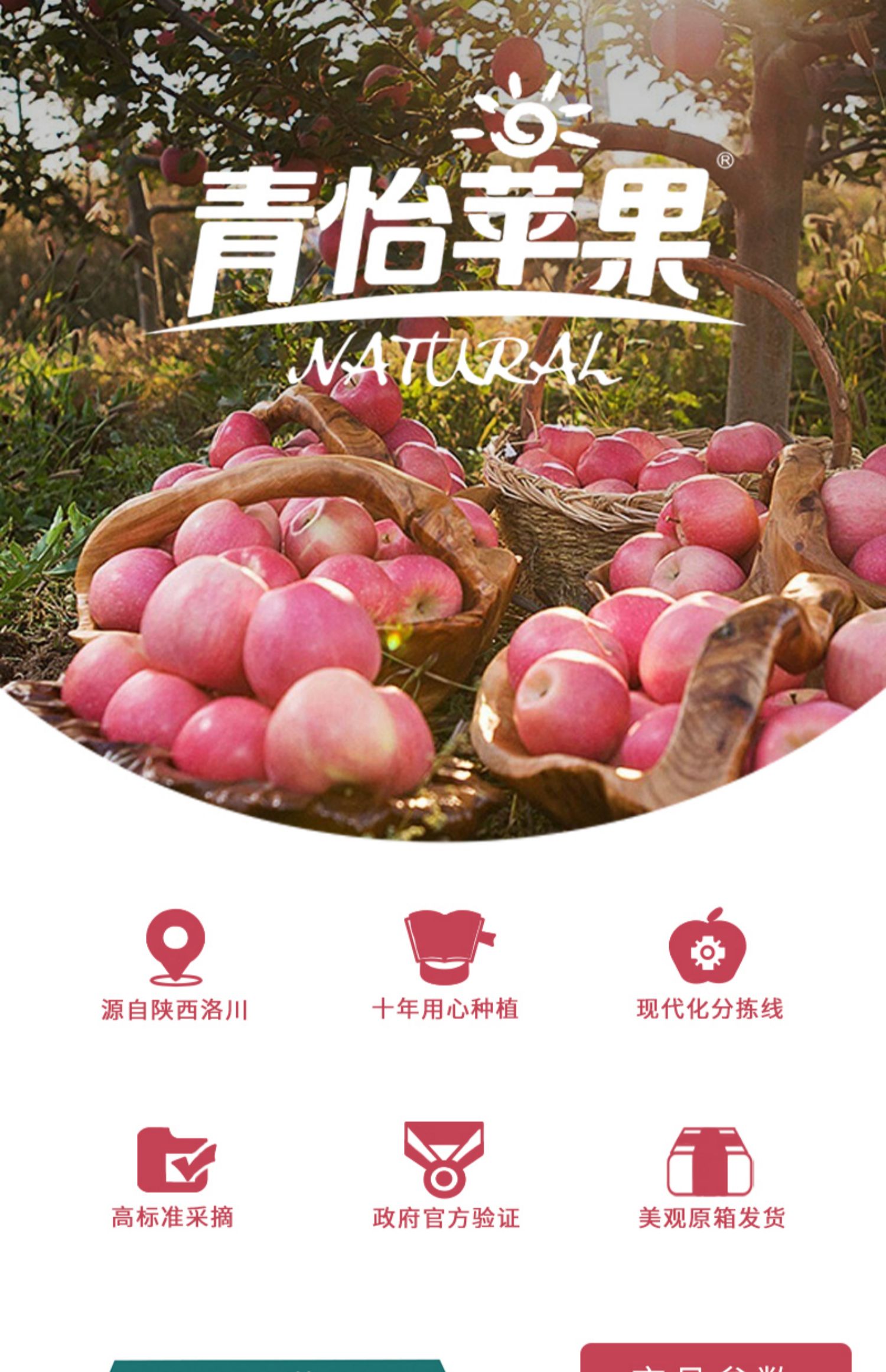 青怡苹果 陕西洛川苹果 净重3.5斤 果径65～70mm 双重优惠折后￥22.9包邮