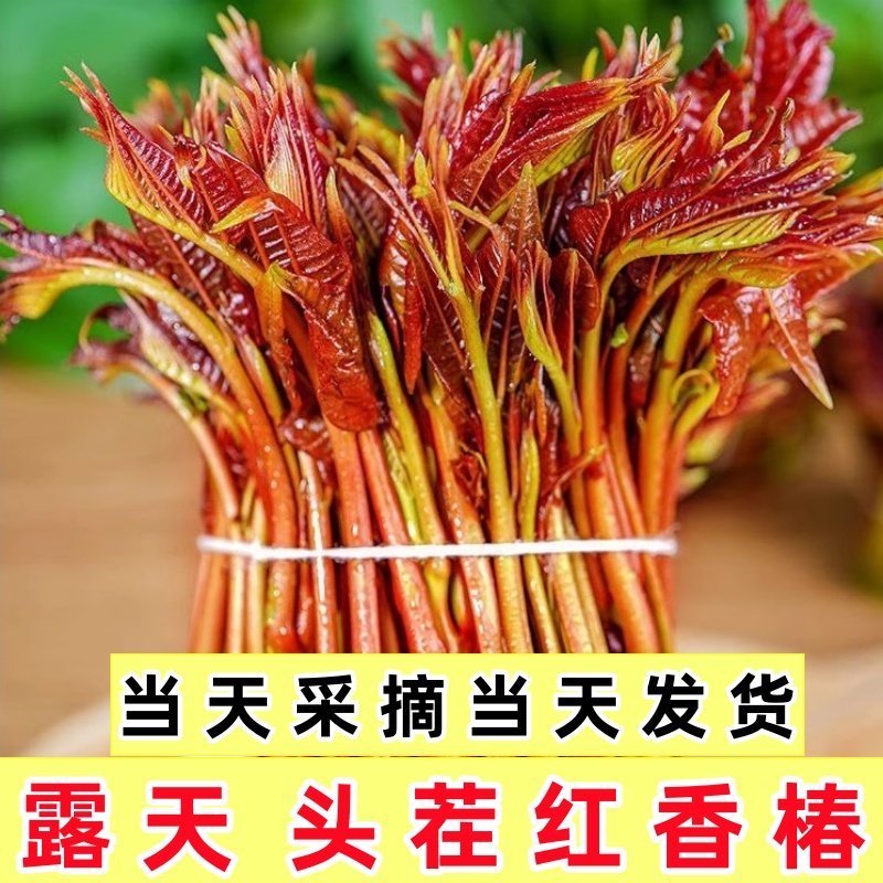 香椿新鲜头茬嫩芽红油春芽菜！当季椿芽现摘现发，春天的味道一口吃进嘴里！-香椿芽-淘宝好物网