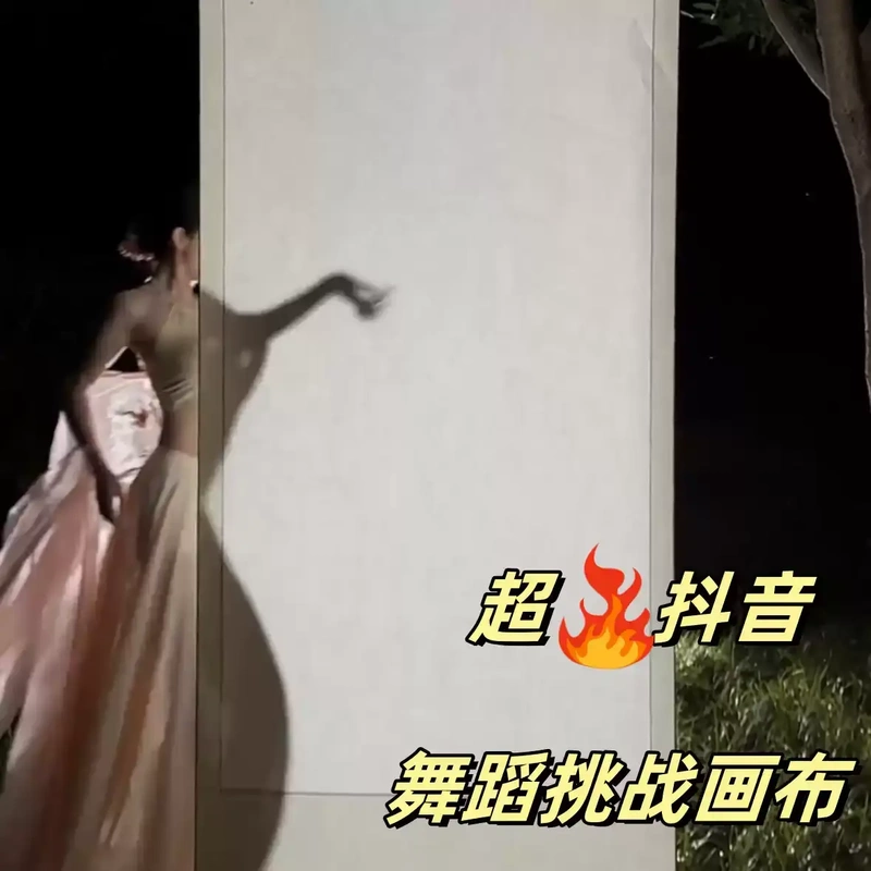 【Tiktok Super Popular Dance Challenge】Classical Dance One-Second Shadow Painting Scroll Transparent Hanging Cloth Large Scroll Painting