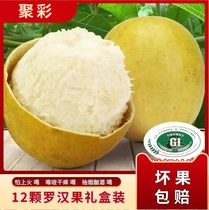 Specialty of Guilin Guangxi White Luo Han Guo Tea Baishouyuan Golden Luo Han Guo Dried Fruit Low Temperature Dehydrated Large Fruit Recommended