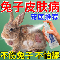 Rabbit skin disease ringworm fungal infection hair loss foot dermatitis ear hair loss special spray for removing lice and mites