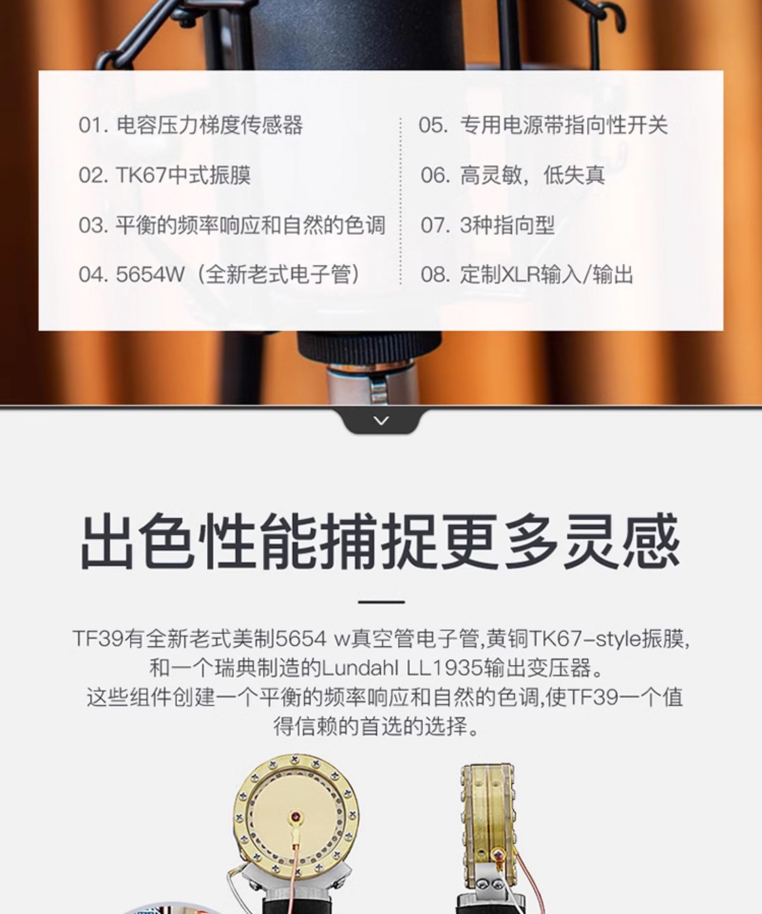 Telefunken/德律风根 TF39电容麦克风插图3