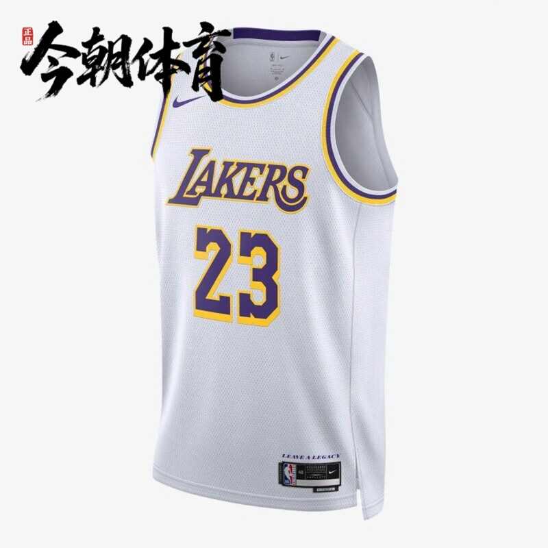 Nike/Nike 23Rd Season Los Angeles Lakers James Men's Quick-Drying Sleeveless Jersey Dn2081-103