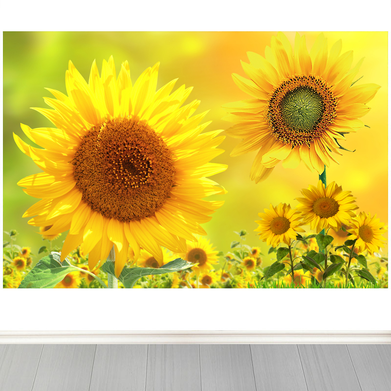 Sunflower Warm and Pleasant, Clear and Natural Bedroom Home Scenery Decorative Painting Yellow Background Sunflower Self-Adhesive Painting