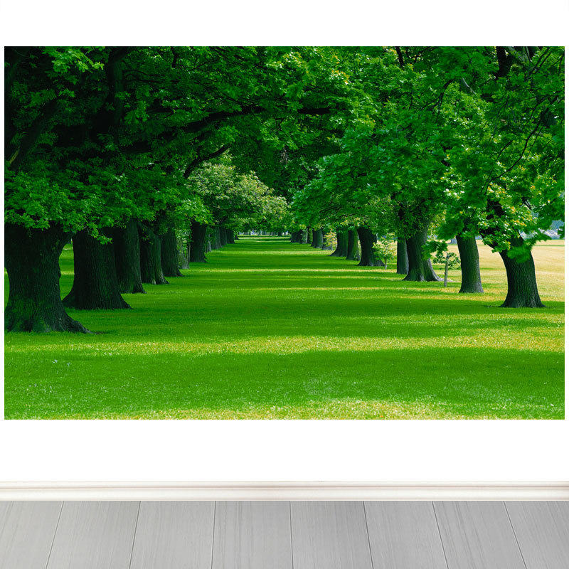 Forest, Big Trees, Green Trees, Grass, Living Room, Office, Background Wall Poster, Self-Adhesive Sticker, Decorative Painting, Green Eye-Protecting Painting
