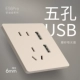 Пять -отверстие двойной USB -гнездо (сливочное золото · кожа)
