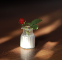 Miniature strawberry potted plant 4 6 small cloth size