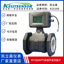 Gas ultrasonic flow meter argon nitrogen gas gas gas gas explosion protection high pressure high temperature trade settlement