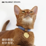 Followcat Кошки и собаки в списке защитников домашних животных теряли надписи слова, написание знаменитых брендов, воротничков ювелирные аксессуары