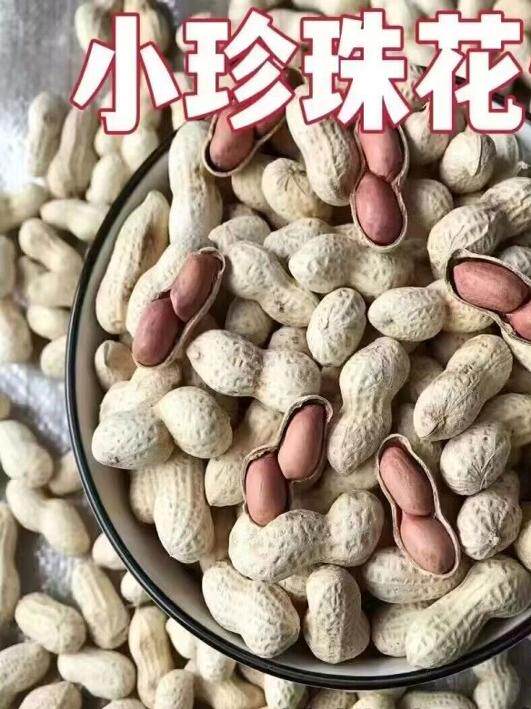 [Freshly Fried Iron Pot] New Arrivals, Selected Original Small Pearls, Garlic, Walnuts, Peanuts, Farm-Grown Fried Peanuts in Shells