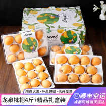 Gift box Sichuan five-star loquat 4 pounds extra large fruit fresh fruit fresh sweet Pipa fruit SF Express