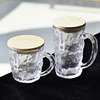 Japanese-Style Glacier Glass Water Cup with Handle for Girls, Home Use, Stylish and Beautiful Beverage Beer Cup with Portable Lid