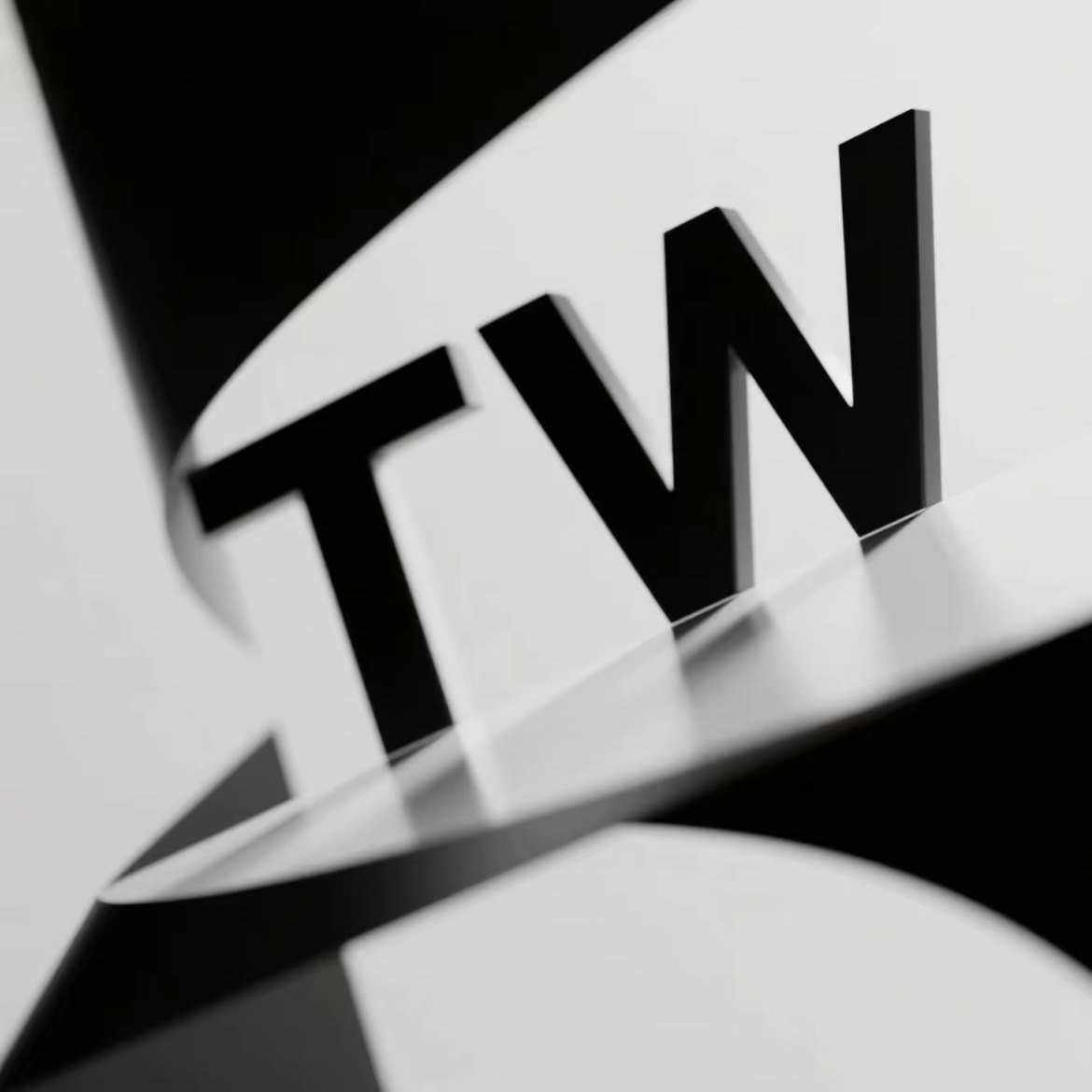 TW国际拉丁的LOGO