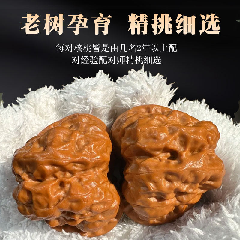 文玩核桃界的扛把子！🔥蛤蟆头狮子头盘玩精品，怀柔野生老树蛙，古玩