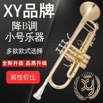 XY standard B-flat trumpet instrument for adults and children entry-level entrance examination professional performance