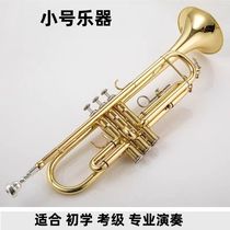 B-flat trumpet instrument XT-120 beginner grade examination professional performance student adult band
