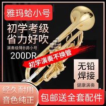 Yama clam trumpet instrument B flat YTR-200DR advanced phosphor bronze student beginner performance test