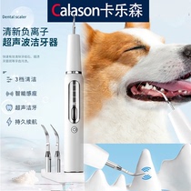 Carlson Dog Dental Calculus Removal Pet Ultrasonic Teeth Cleaning Small Teddy Cat Teeth Cleaner Teeth Cleaner