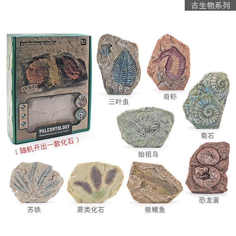 New Cross-Border Children's Realistic Archaeological Excavation Animal and Plant Fossil Models: Cycad, Pterosaur, Crocodile Head, Tyrannosaurus Skeleton