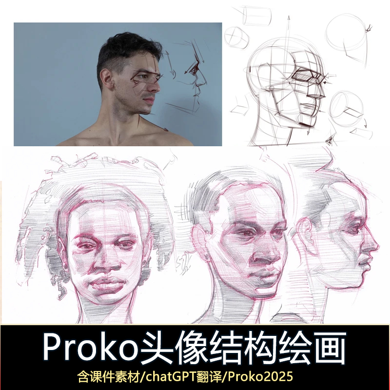 Micheal Hampton's Portrait Painting Tutorial: Basic Line Drawing of Human Portraits and Structure, Digital Painting Course