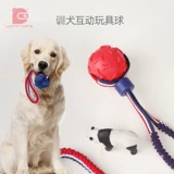 Собака игрушка Ball Golden Land Золотая хируль