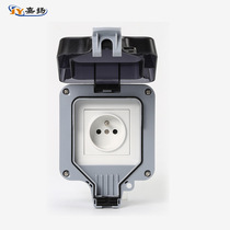 IP66 outdoor waterproof box outdoor bathroom wall waterproof switch French single connection