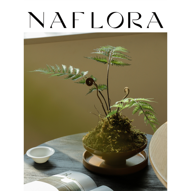 Na's Flower House Simulated Zen-Style Potted Green Plants for Home Entrance, Tea Room, Desktop, Chinese-Style Ornaments, Plants, Ferns, Bonsai