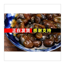 Fresh Salt City Speciality of No Shawou Drunk Snail Woody Bong City Yellow Clay Snail 180g * 6 bottles Non-Ningbo