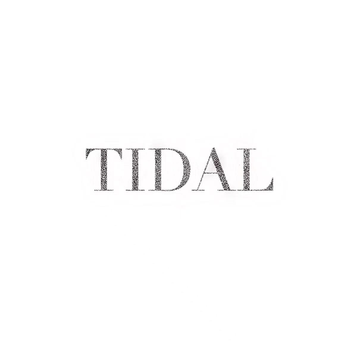 态渡TIDAL