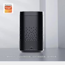 Coating e smart speaker WZ-Fin iigb Crow Gateway Infrared Bluetooth Speaker Universal Remote voice Assistant