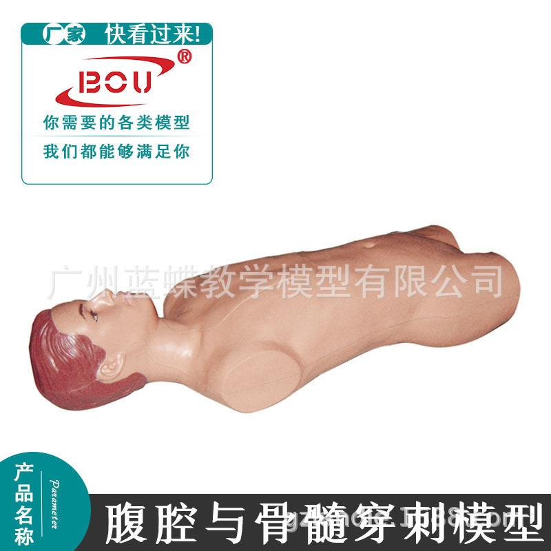 骨髓与腹腔穿刺训练模型 骨骼穿刺模型成人穿刺术模拟人