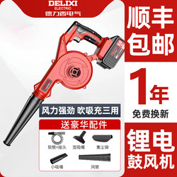 Delixi blower rechargeable small lithium hair dryer high-power industrial dual-purpose computer dust collector