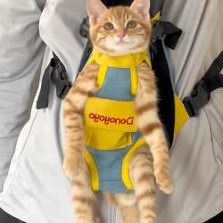 Double-Shoulder Cat Carrier, Portable Chest Backpack for Cats, Elastic Non-Restrictive Strap Bag, Four-Legged Travel Bag for Dogs