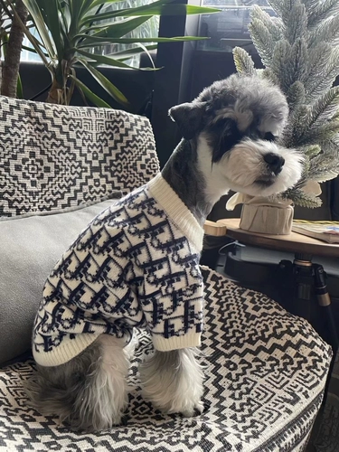 Собачья одежда, осень и зима плюс бархатный согревающий плюшевый снег, маленькие и средние собаки и домашние животные