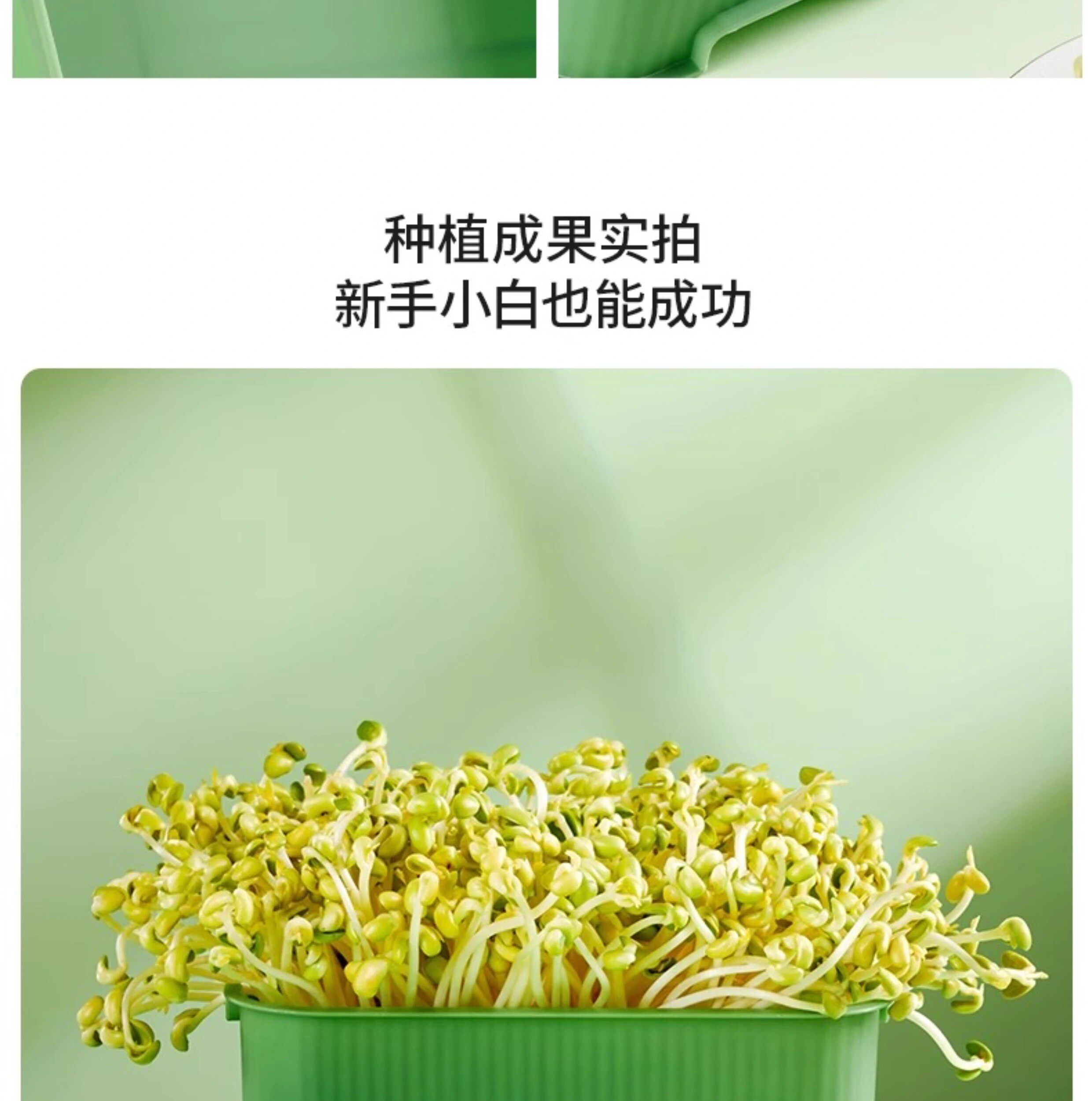 Рассада/питание 育苗盘种植发芽盆大容量家用豆芽机发豆芽专用盆神器生黄绿豆芽罐