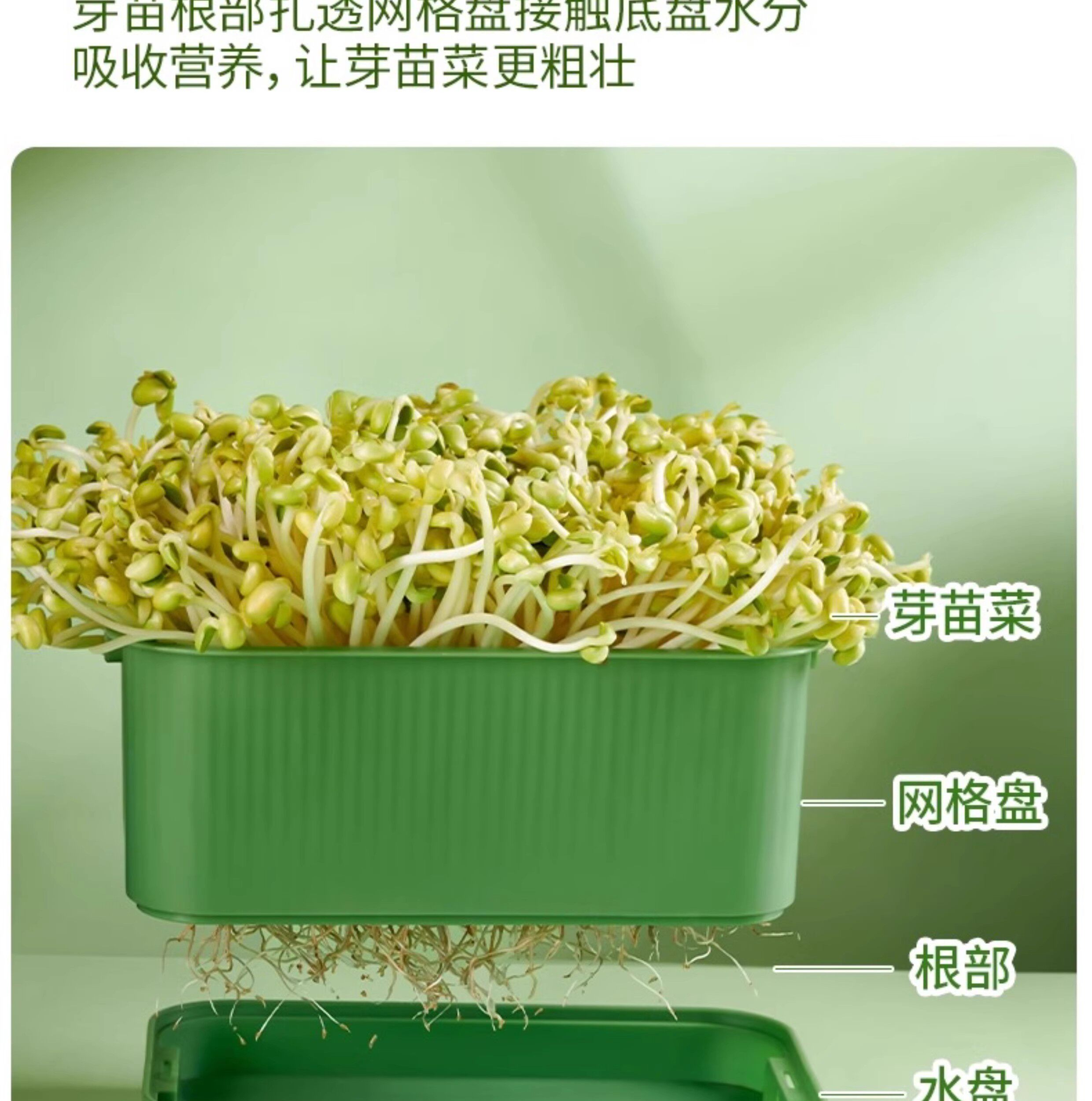 Рассада/питание 育苗盘种植发芽盆大容量家用豆芽机发豆芽专用盆神器生黄绿豆芽罐