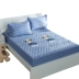 Đệm bông trải giường bông một mảnh Bông bọc nệm trải giường Simmons bảo vệ che phủ Bụi giường 1,8m