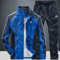 Синий [искренний]